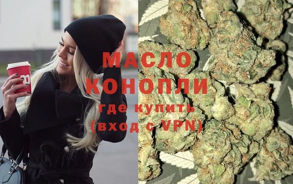 индика Наволоки