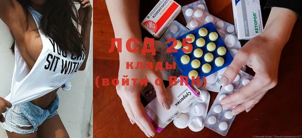 стаф Михайлов