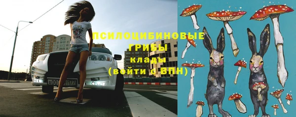 стаф Михайлов