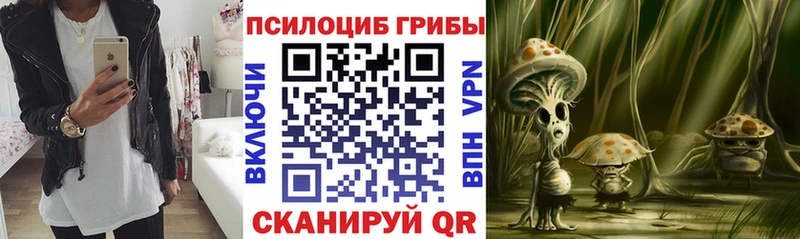 Галлюциногенные грибы мицелий  Хабаровск 