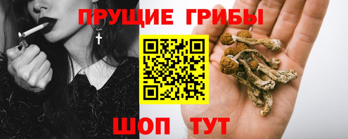 Псилоцибиновые грибы Cubensis Хабаровск