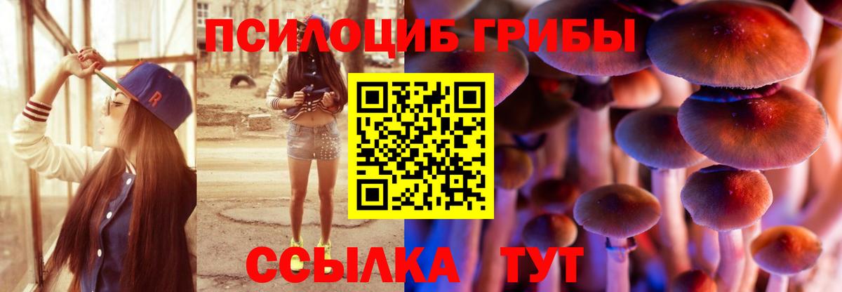 Галлюциногенные грибы GOLDEN TEACHER  Галлюциногенные грибы мухоморы  Хабаровск  Вход с VPN 